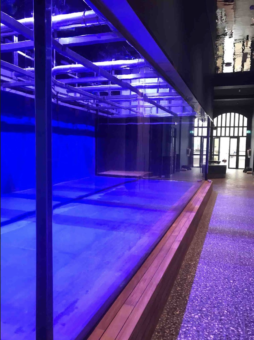 Acquario